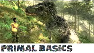 theHunter Primal Basics