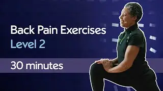 Back Workout and Stretches for Pain Relief | Beginner Level 2