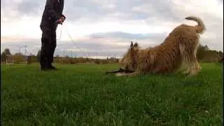 Chiwa - Berger Picard - Slowmotion chase