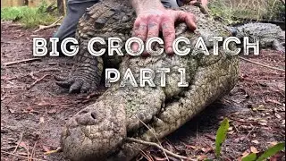 BIG CROCODILE CATCH - Part 1