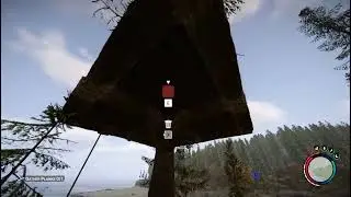 Sons of the forest bug?