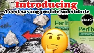 Budget Gardening: Change Your Garden Forever With ZERO WASTE Perlite Substitute