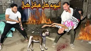 اقوا اختبار لكمال اللول كان هيروح فيها