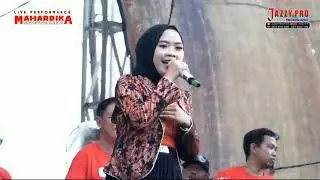 Hanafi (Gambus) - Fitrie Velanie Mahardhika Entertainement - JAZZY PRO HD