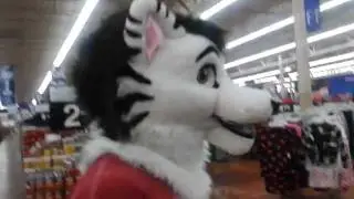 Nekaris awesome Walmart Adventure pt.2