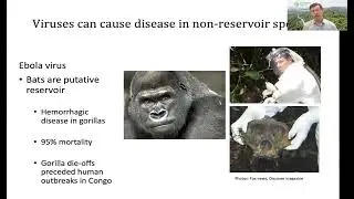Prof. Jonathan Epstein (EcoHealth Alliance) - Wildlife bio-surveillance & study design