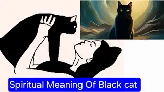 Myths About Black Cats 😿 ||Spiritual Meaning Of Black cats|| #meowmeade #felinefriends