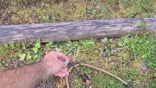 Problem Grauwasser Abfluss