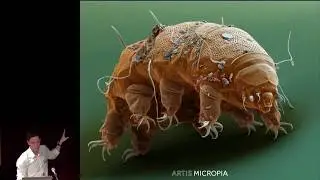 Micropia