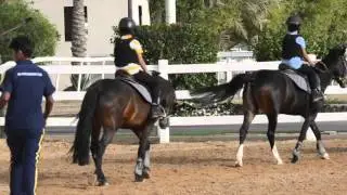 AbuDhabi Equestrian Club