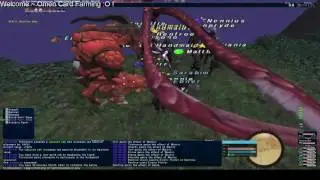 Final Fantasy XI - VNM HMP Farming ~