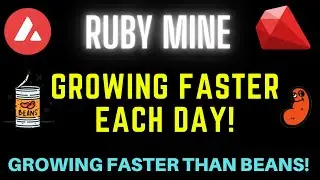 Ruby Mine Is Mooning!