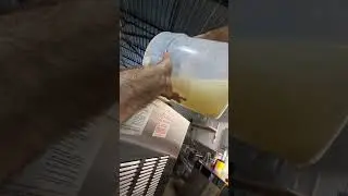 The Taylor 430 - Your Compact Frozen Cocktail Machine