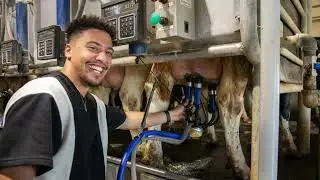 Dairy Promotion Update: Summer 2025