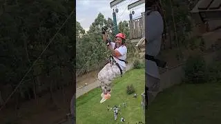 The Wildest Ziplining Experiences in Africa