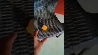 Catch big frogs 🐸 funny | Try don't laugh |wepwep catching frogs make you laugh#shortsviral