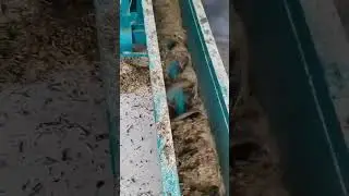 Farm grass spiral conveyor with mixer  #screwconveyor #grass #mixer