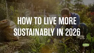 How to Live More Sustainably in 2026