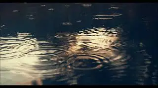 Matthew Radics - Little Bit (audio vizualiser . June 2020)