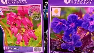 New Bare Root Perennials, UpPotting Ranunculus & Seedling Updates 🪴🌸🫶// Suburban Oasis