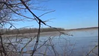 Waterfowl Nation