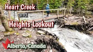 Heart Creek Trail and Heights Lookout Hike in Alberta