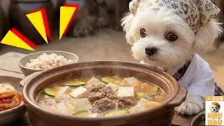 🐶귀여운 된장찌개 요리사 (심장주의)🍖✨