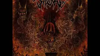SIDERATE 