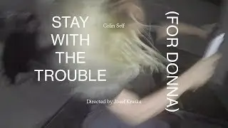 Colin Self - Stay With The Trouble (For Donna)