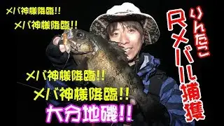 ルアー合衆国＋　ザブラシリーズで楽しむメバルプラッキング（岩崎林太郎　大分県　臼杵市　地磯）