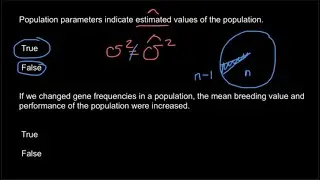 Population parameters and breeding values explained