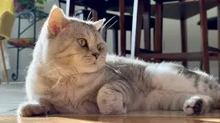 Kopol Enjoying His Saturday Afternoon