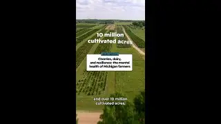 Michigan&rsquo;s farm crisis nobody talks about Part 1