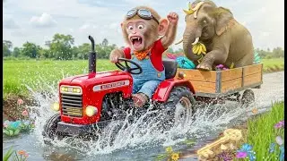 Monkey on the Farm | Smart Monkey Saves a Drowning Elephant &ndash; Epic Animal Rescue 😱🐘