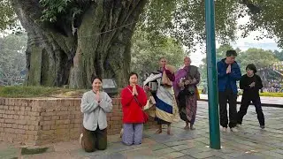 LUMBINI   S25122025 - #minhtue #thayminhtue #thichminhtue#suminhtue#Suminhgiai