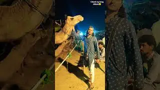 Camel beauty my 2nd #shorts