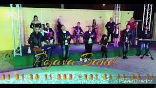 Pojava Bend - Schatzy mi rakli LIVE 2019 🎶🎵🎶🎵