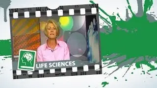 Protein Synthesis & DNA Fingerprinting