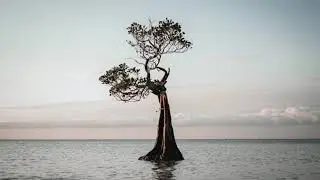 Newmanhere - Rise (Original Mix)