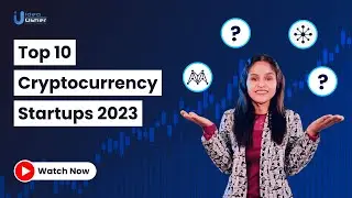 Top 10 Cryptocurrency Startups of 2024 #cryptocurrency