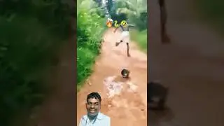 Snakes Are |Actually Hilarious|#short