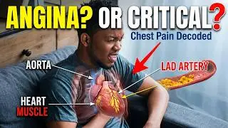How to Survive a Heart Attack  3D Signs You Should Never Ignore 2026 Guide