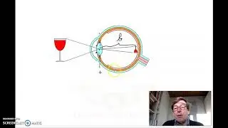 Beeldvorming in het oog