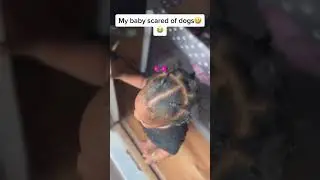 Adorable toddler scared of dogs!#toddler #dogs #fear #funny