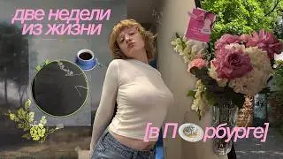обычная жизнь | покупки, уборка, поездка на дачу и вязание