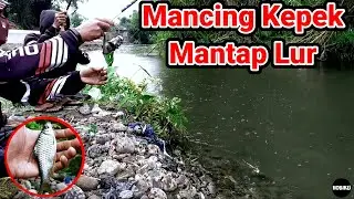 Mancing Kepek,Mantap Lur