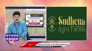 Farming Of Red Sandalwood | Sudhena Agro Farms | V6 News