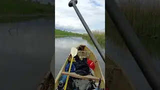 Out marshland Habitat
