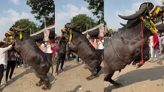 #Sadar Festival 2024 || Sadar  Sammelana At NTR Stadium 2025 | Sadar Sayyata 2024