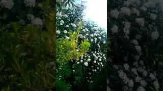 Selamunaleyküm SAĞLIĞIN mutluluğunuz huzurunuz SEVGİNİZ SEVİLMENİZ İYİLİKLER in niz daim ömrünüz ömü